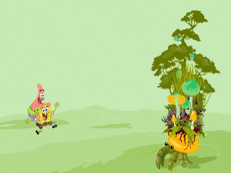 李先生夫妇成功案例